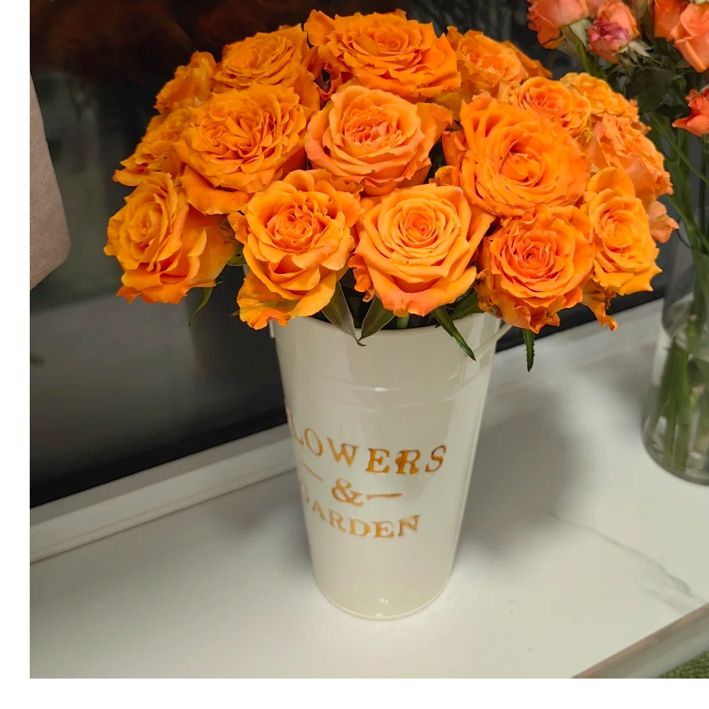 10枝【巨蟹座】玫瑰   任意两单顺丰冷链包邮