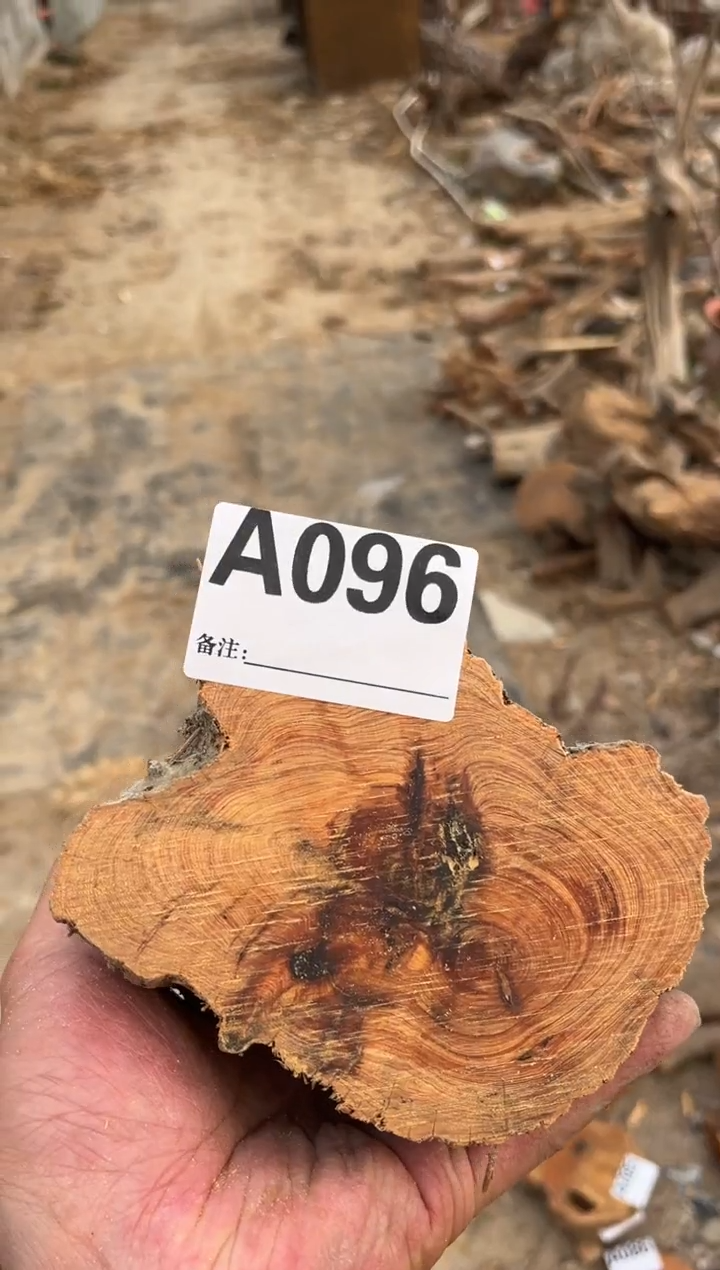 柏木（崖柏）太行崖柏茶头