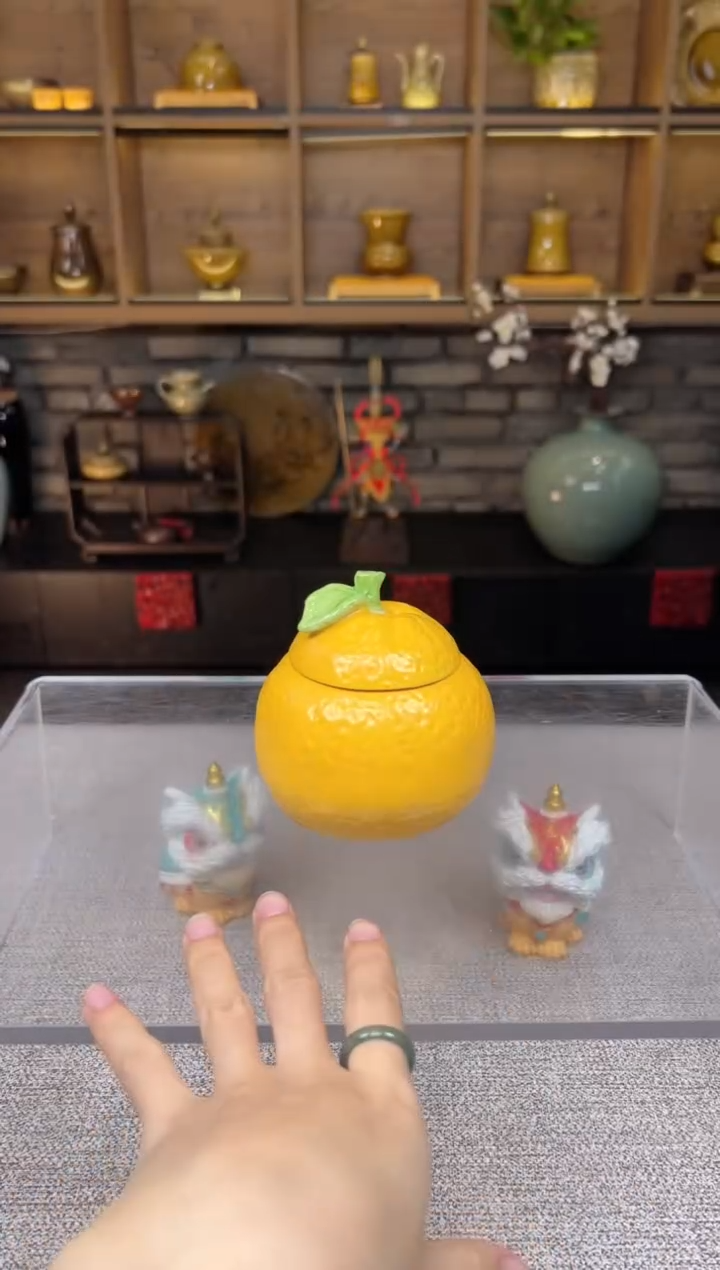 【闪购商品】无尽藏 专属福利单 VVV 