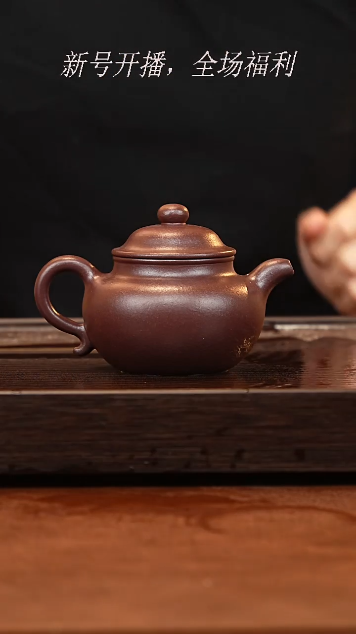 茶壶紫砂10y12紫袍玉砂掇只