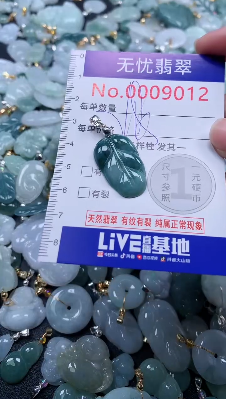 颈饰未镶嵌翡翠9012