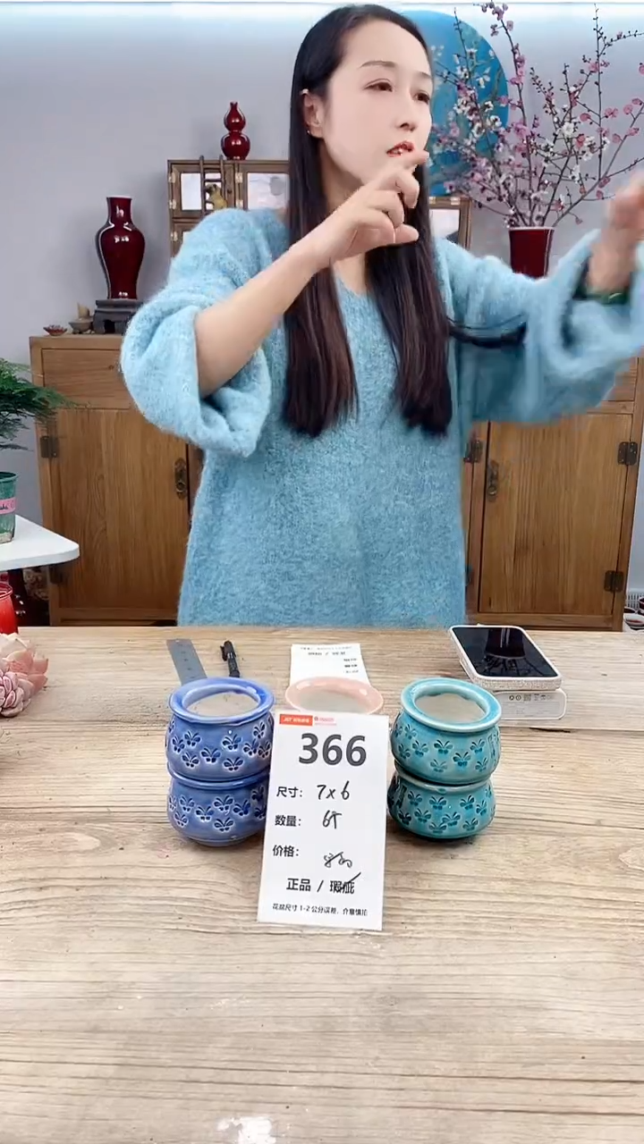 【闪购商品】陶瓷366