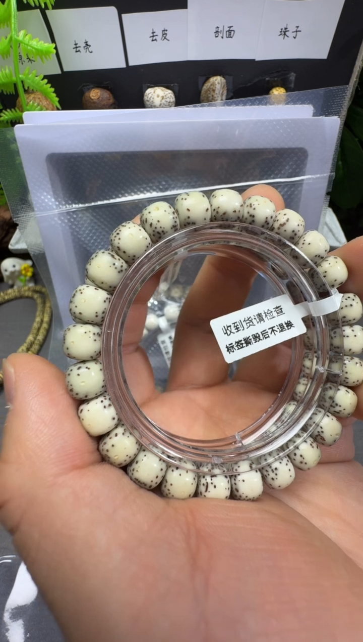 【闪购商品】星月菩提手串9*8 灰背 河豚