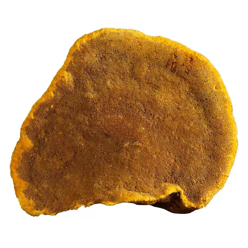 现收山货 1斤土特产食用农产品 可搭配枸杞