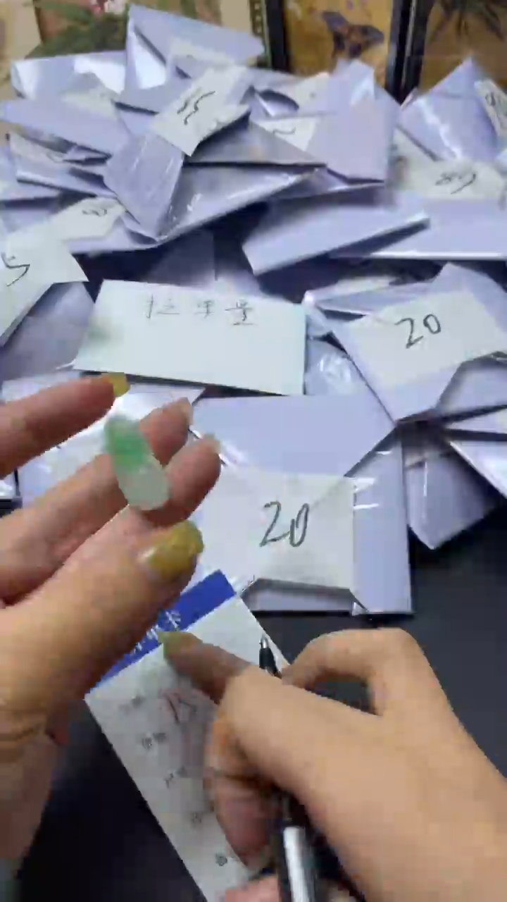 翡翠未镶嵌颈饰  所见即所得 一物一拍