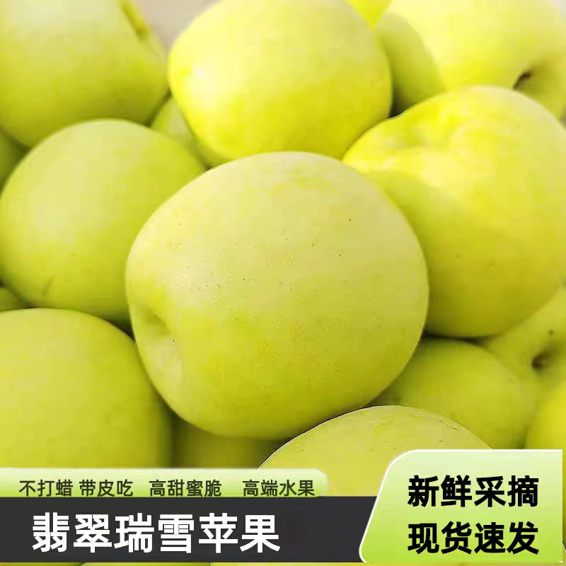 正宗陕西瑞雪苹果纯甜花香味新鲜水果现摘青苹果