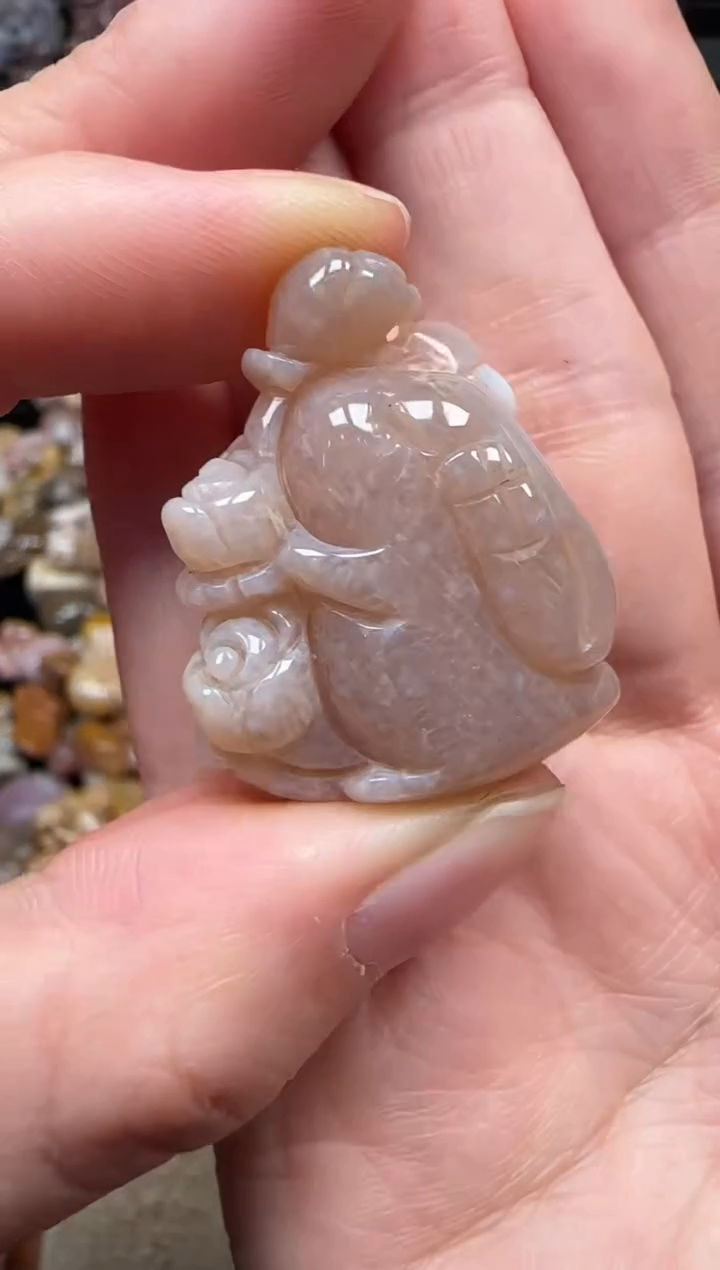 颈饰未镶嵌硅化珊瑚（珊瑚玉）215