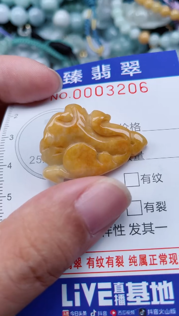 翡翠未镶嵌颈饰.0003206