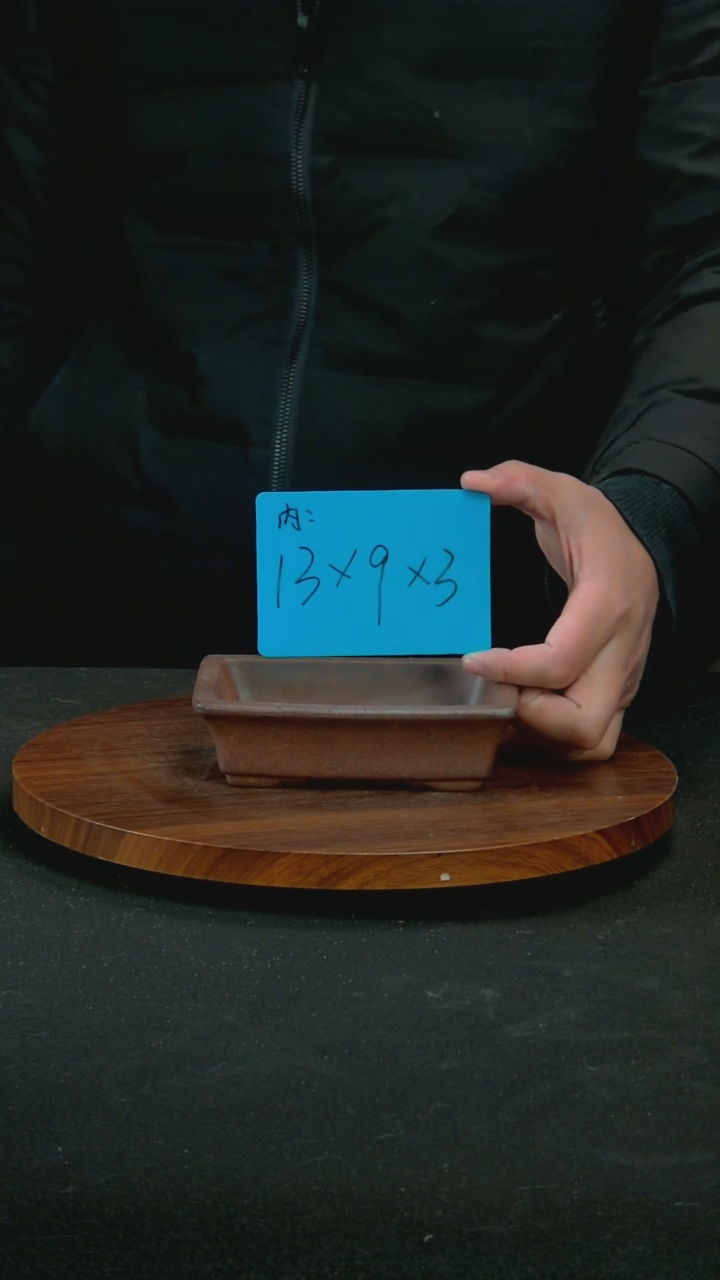 【闪购商品】紫砂G54