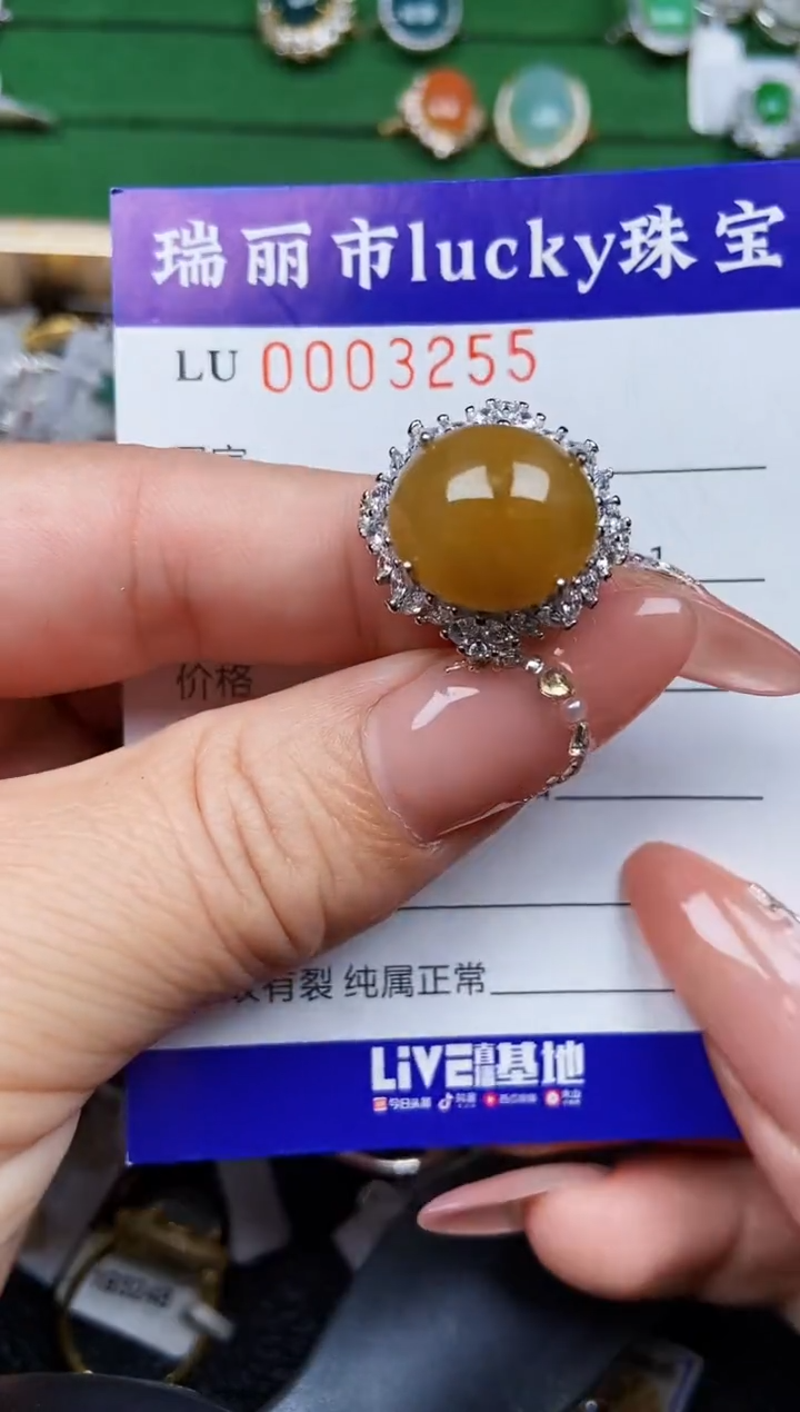 【闪购商品】翡翠颈饰银S925镶嵌3255