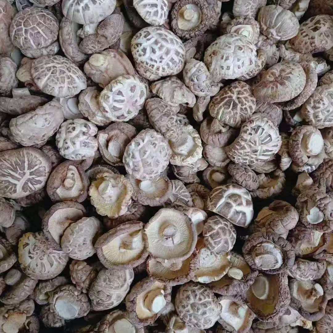 【鹿茸菇、花菇、】湘西樱子进村湘西干货 鹿茸菇