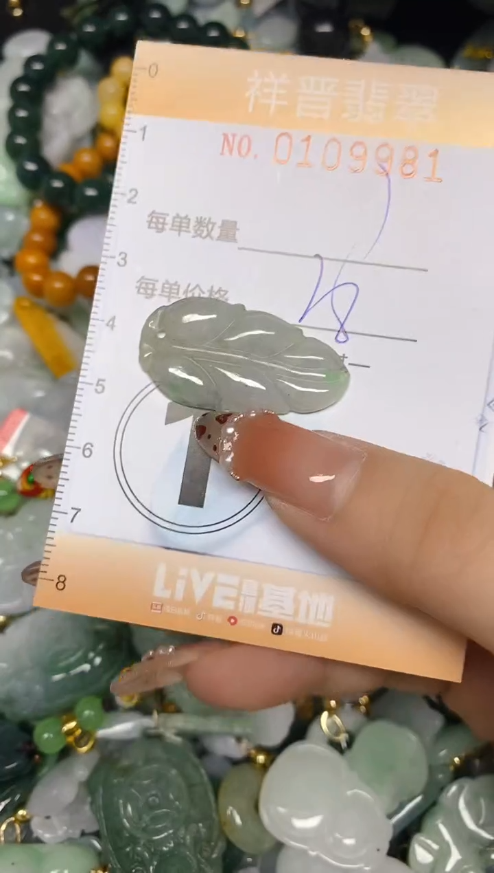 【闪购商品】翡翠颈饰未镶嵌闪购0109981