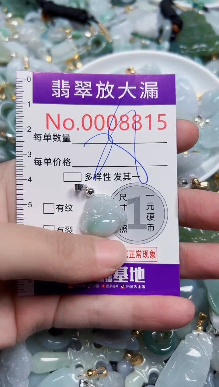 颈饰未镶嵌翡翠8815