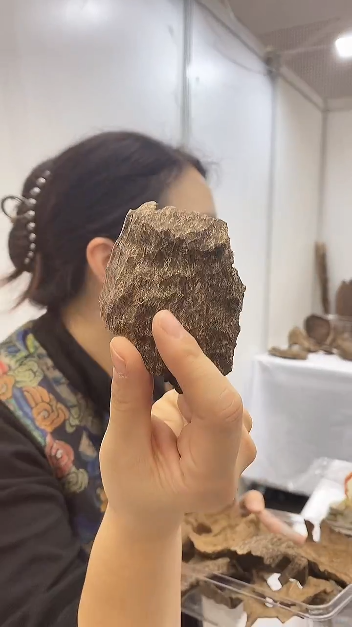 香料海南霸王岭壳子10克