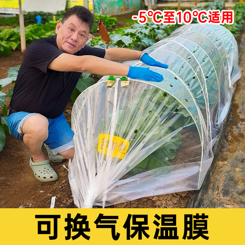暖棚保温膜含换气孔菜园保温农用蔬菜保暖膜8丝