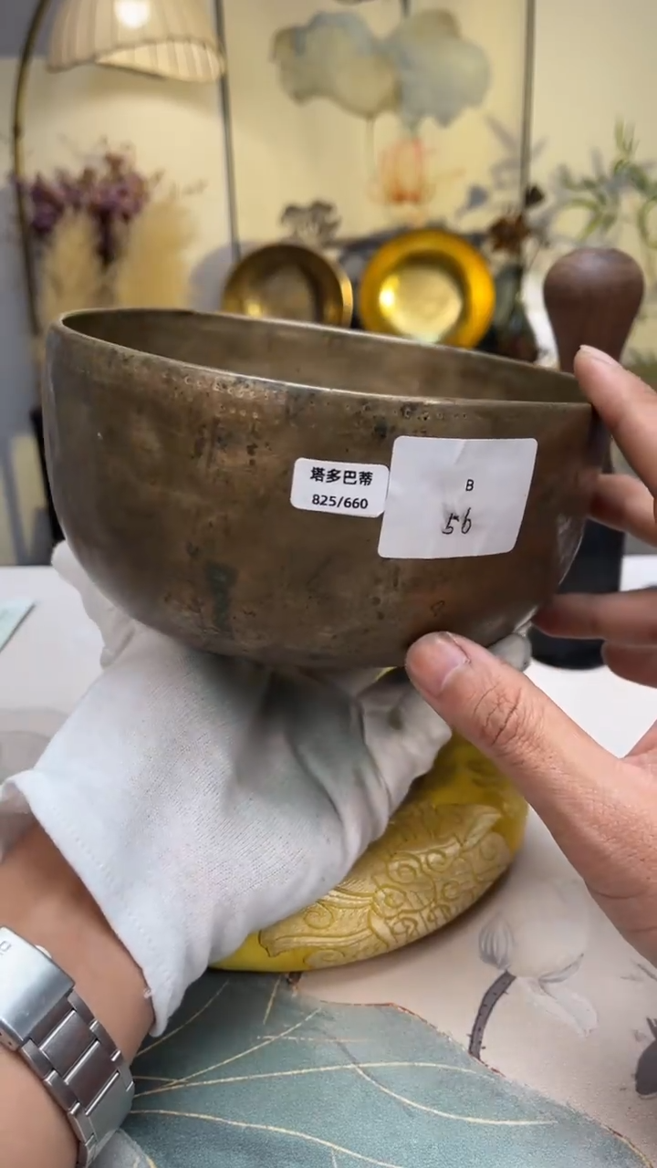 【闪购商品】塔多巴蒂口径CM-调（无配件）