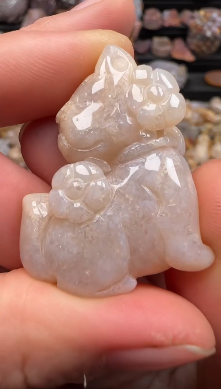 【闪购商品】硅化珊瑚（珊瑚玉）颈饰未镶嵌058