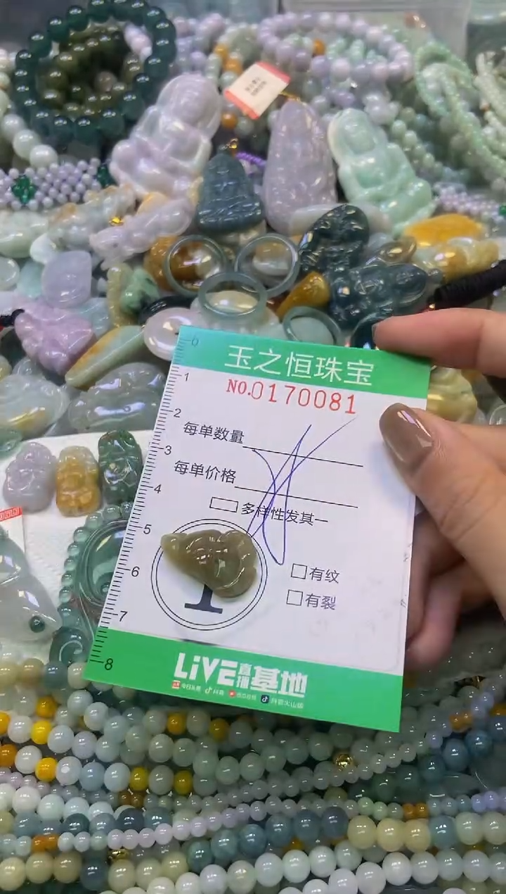 颈饰未镶嵌翡翠闪购0170081