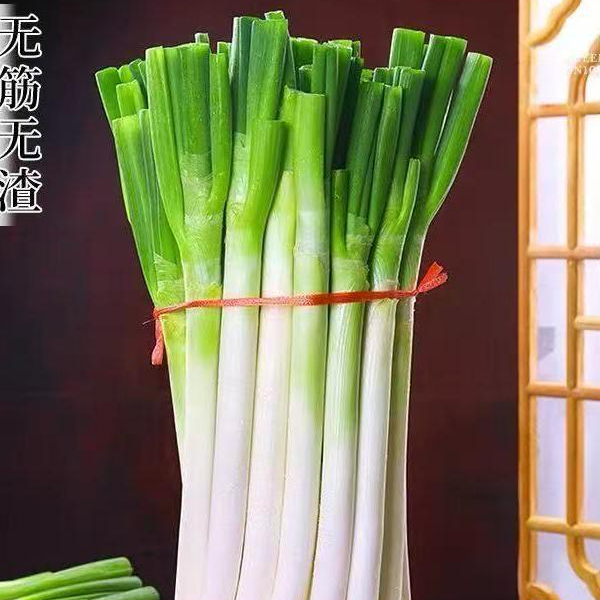 新鲜现挖铁杆大葱只发葱白可调味炒菜可生吃蘸酱