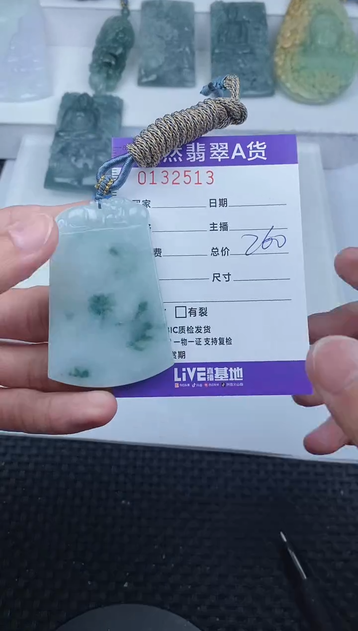 【闪购商品】翡翠颈饰未镶嵌          