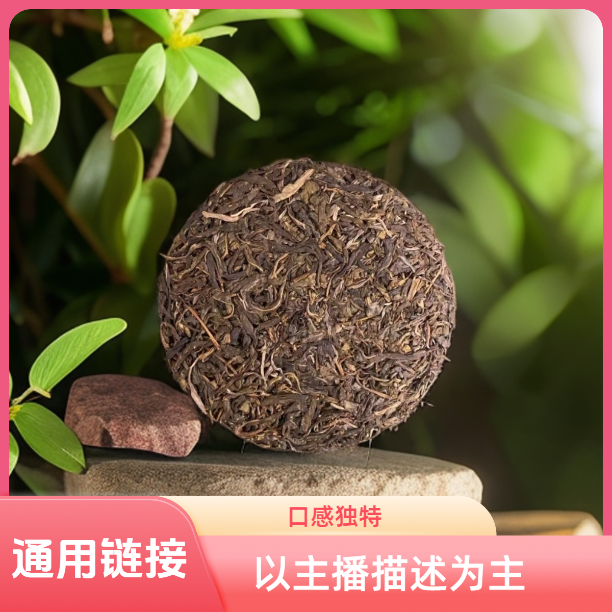 通用链接【天门山高杆 200克普洱生茶饼】