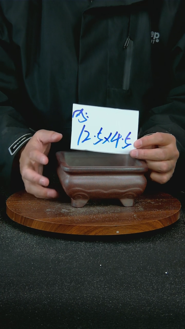 【闪购商品】紫砂P80