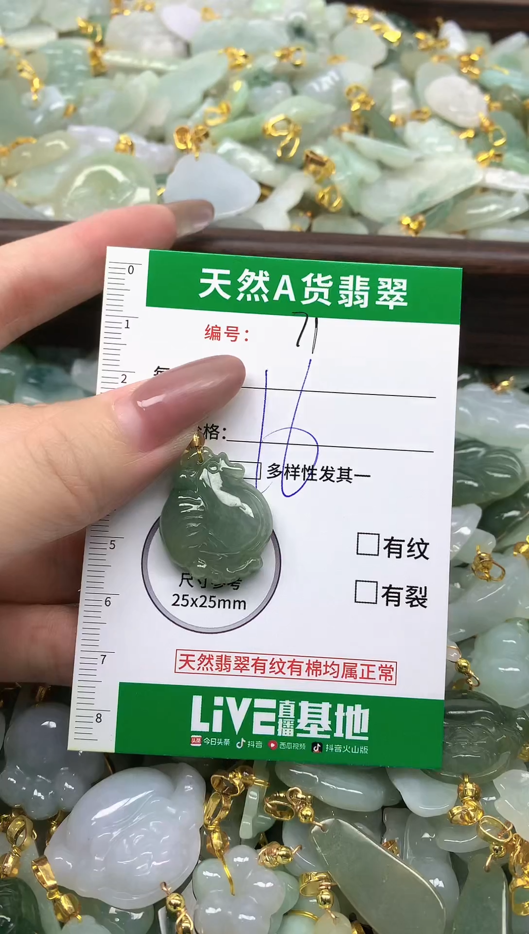 颈饰未镶嵌翡翠纯天然缅甸A货翡翠-71