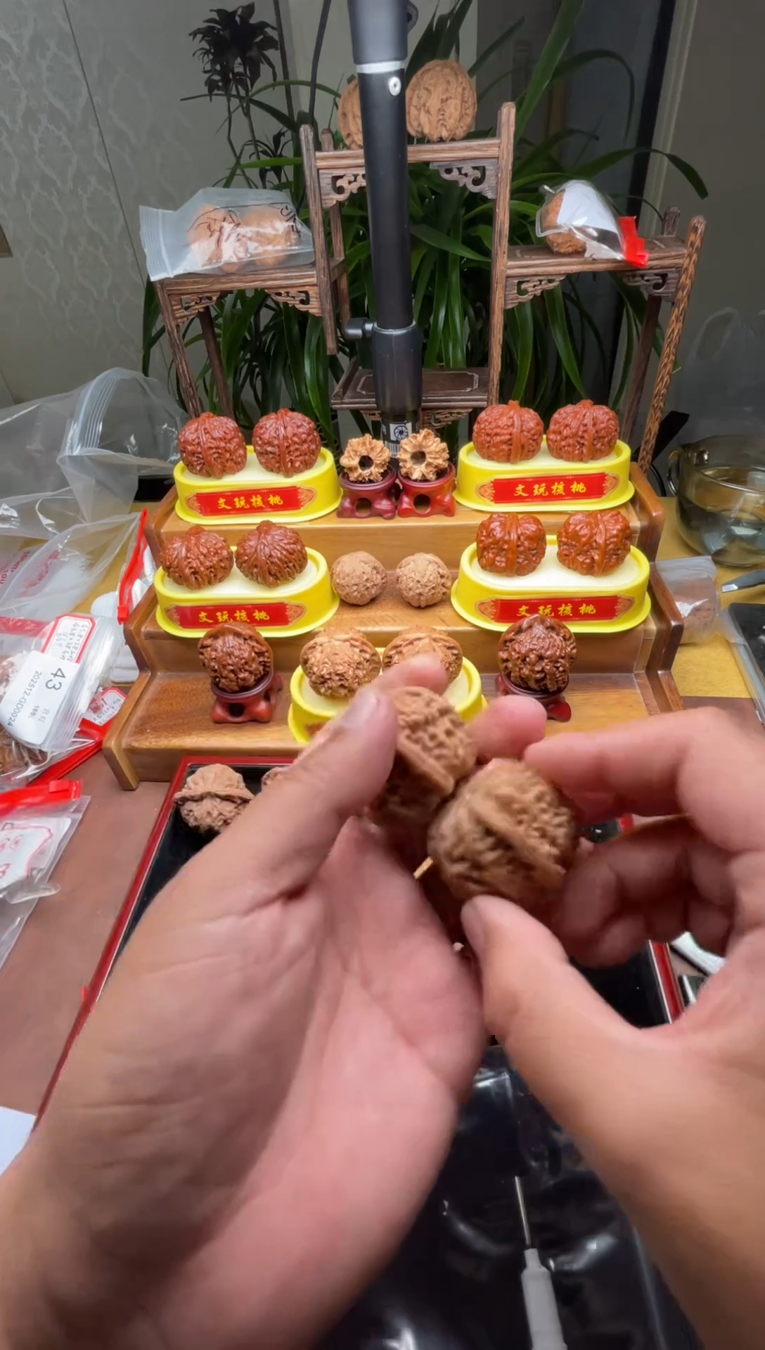 把件文玩核桃0**125白狮子