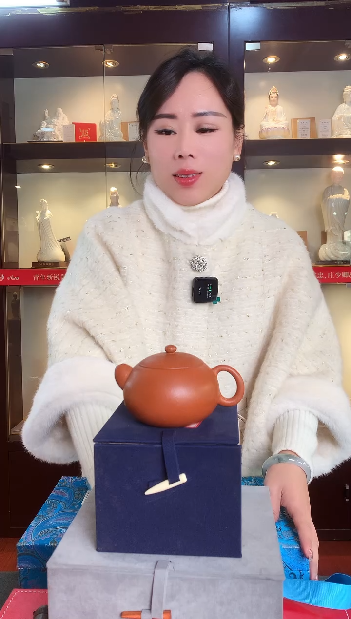 【闪购商品】壶紫砂壶 西施壶茶壶