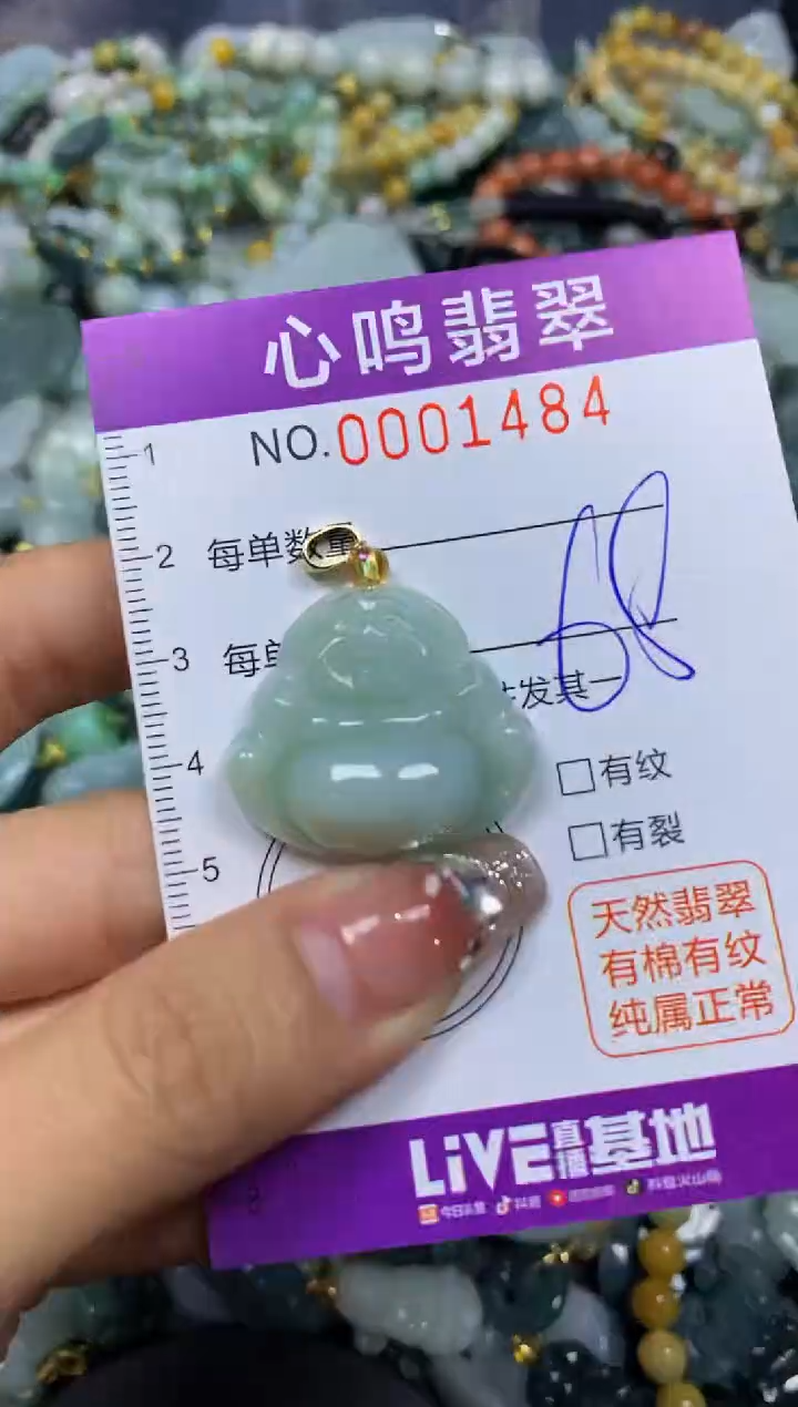 【闪购商品】翡翠颈饰未镶嵌闪购001484