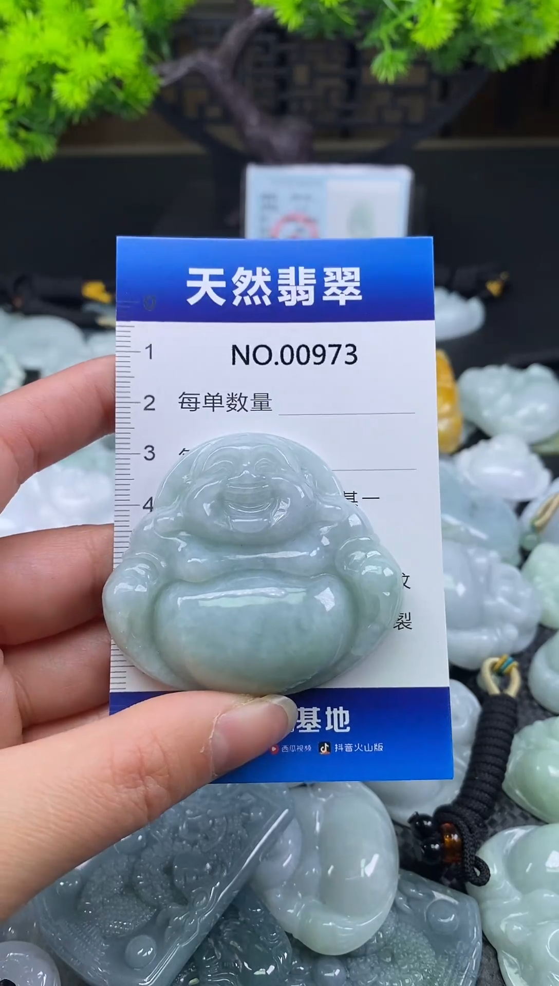 颈饰未镶嵌翡翠天然缅甸翡翠973