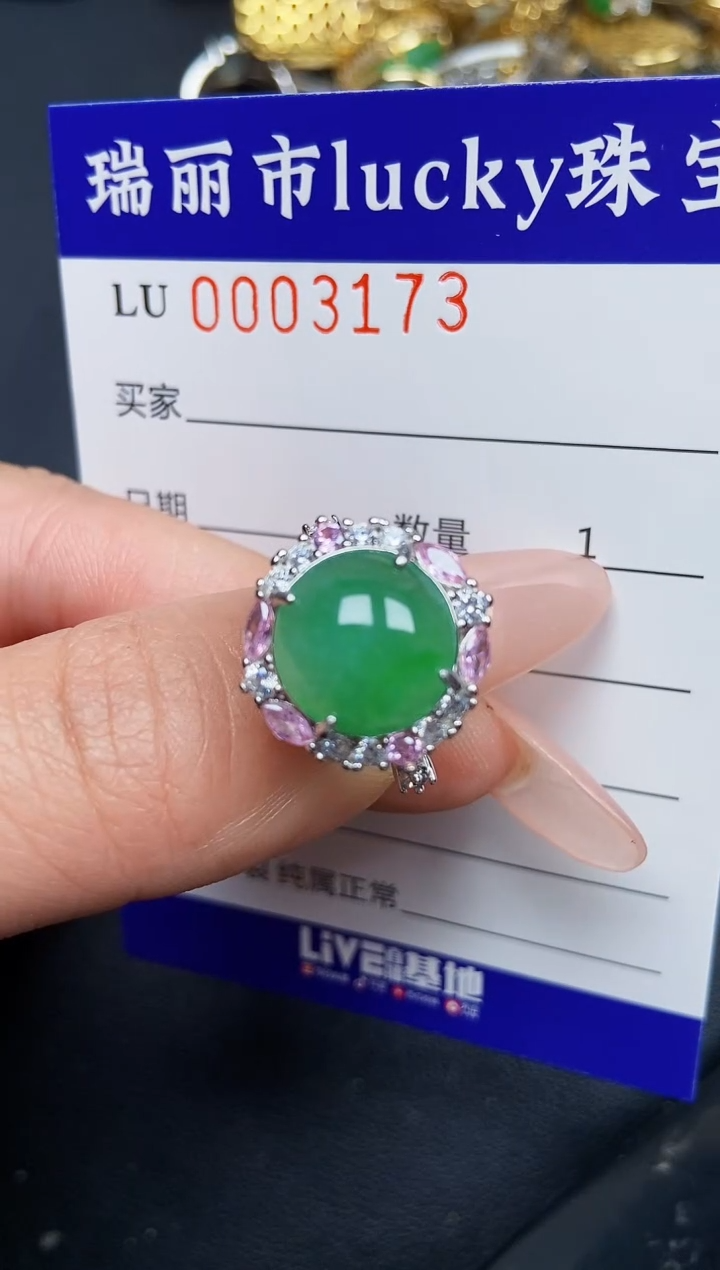 【闪购商品】翡翠颈饰银S925镶嵌3173