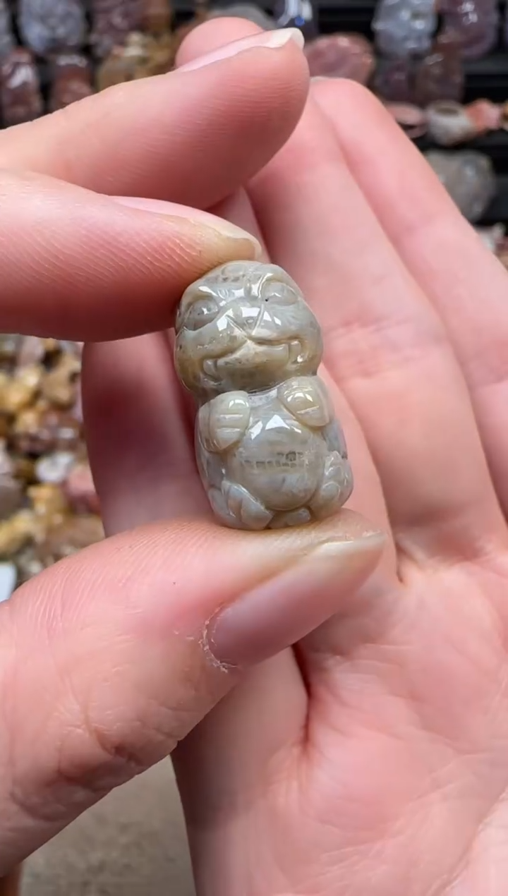 颈饰未镶嵌硅化珊瑚（珊瑚玉）529