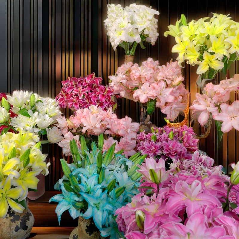 云南木木花卉 瑕疵花百合鲜花不分品种不指定不售后