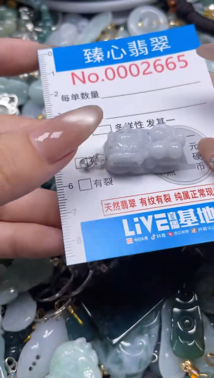 颈饰未镶嵌翡翠2665