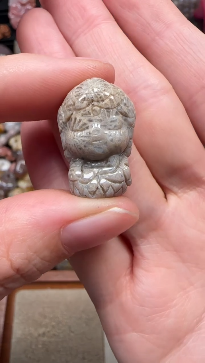 颈饰未镶嵌硅化珊瑚（珊瑚玉）788