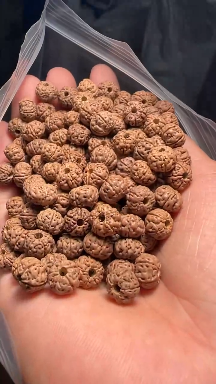 金刚菩提手串非全品老树王散籽8-9mm一份一百颗