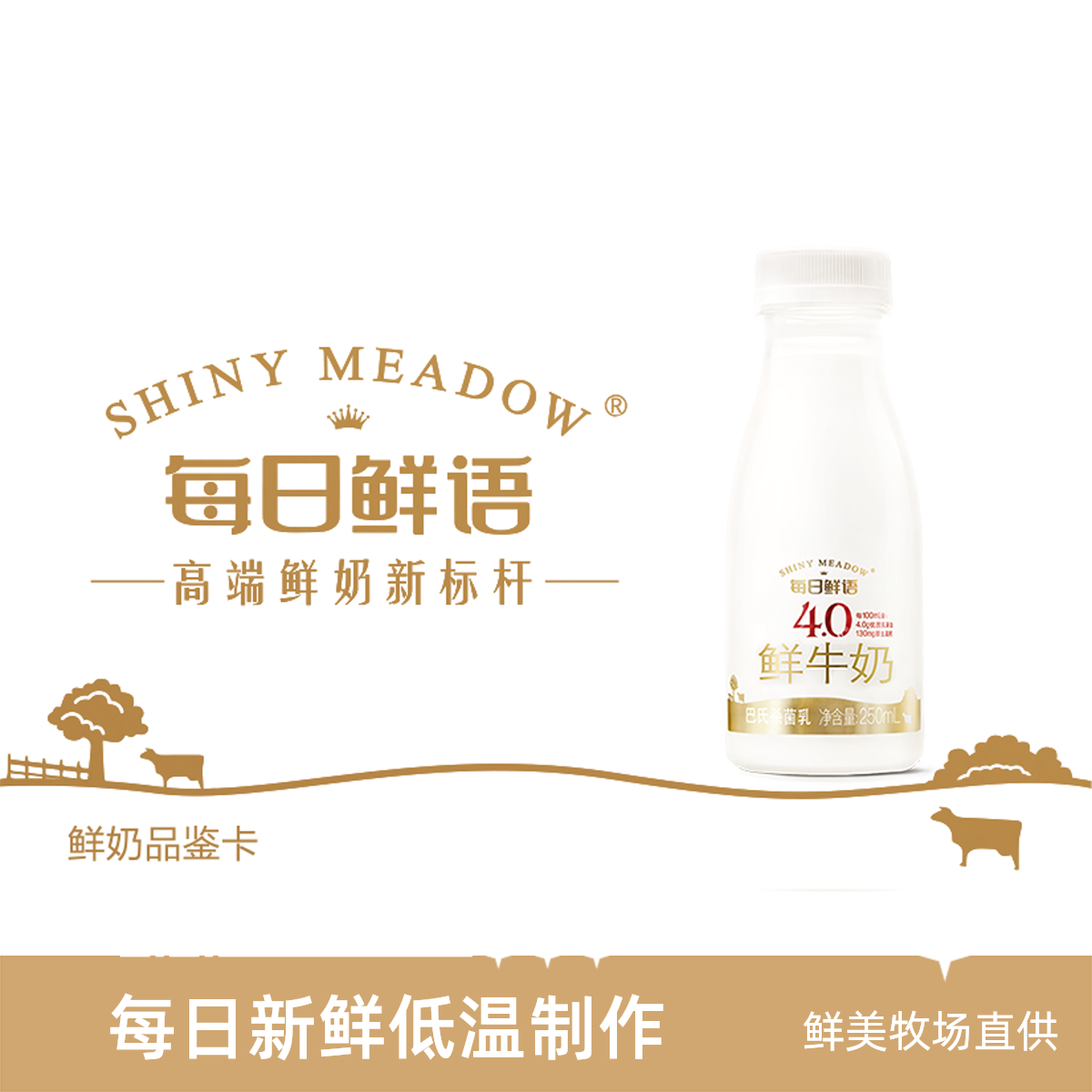 【奶卡特惠 礼品首选】蒙牛每日鲜语4.0鲜牛奶250ml*16瓶
