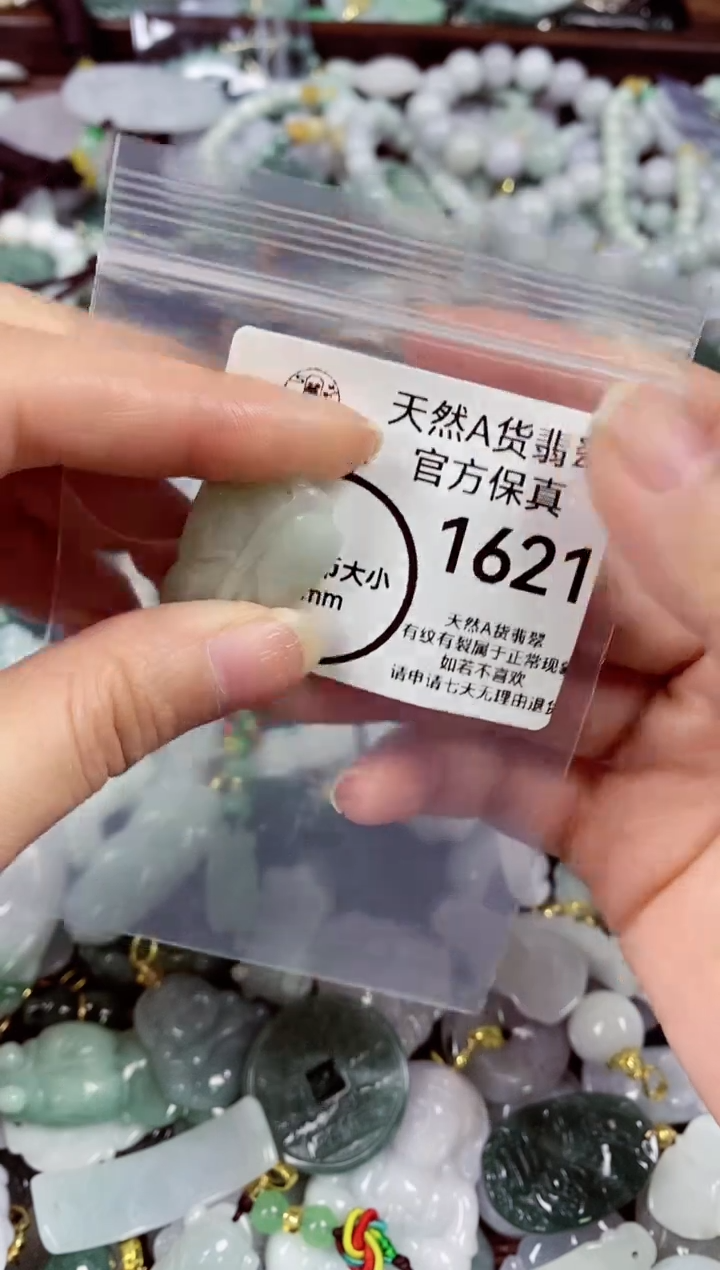 【闪购商品】翡翠颈饰未镶嵌天然A货翡翠1621