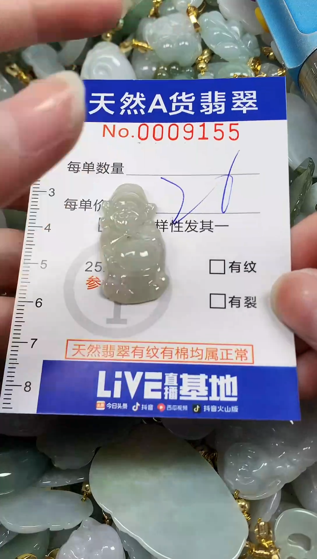 颈饰未镶嵌翡翠纯天然a货翡翠