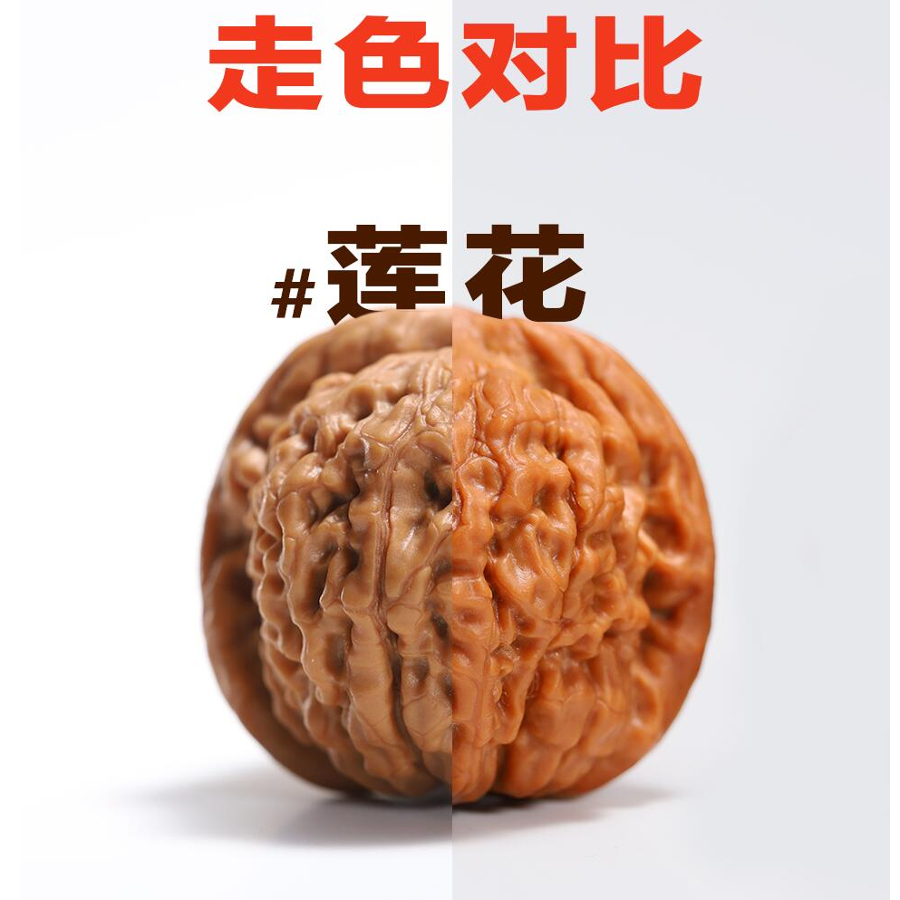 【渡鸦典藏毕业级】龙门山一代莲花（礼盒发货）