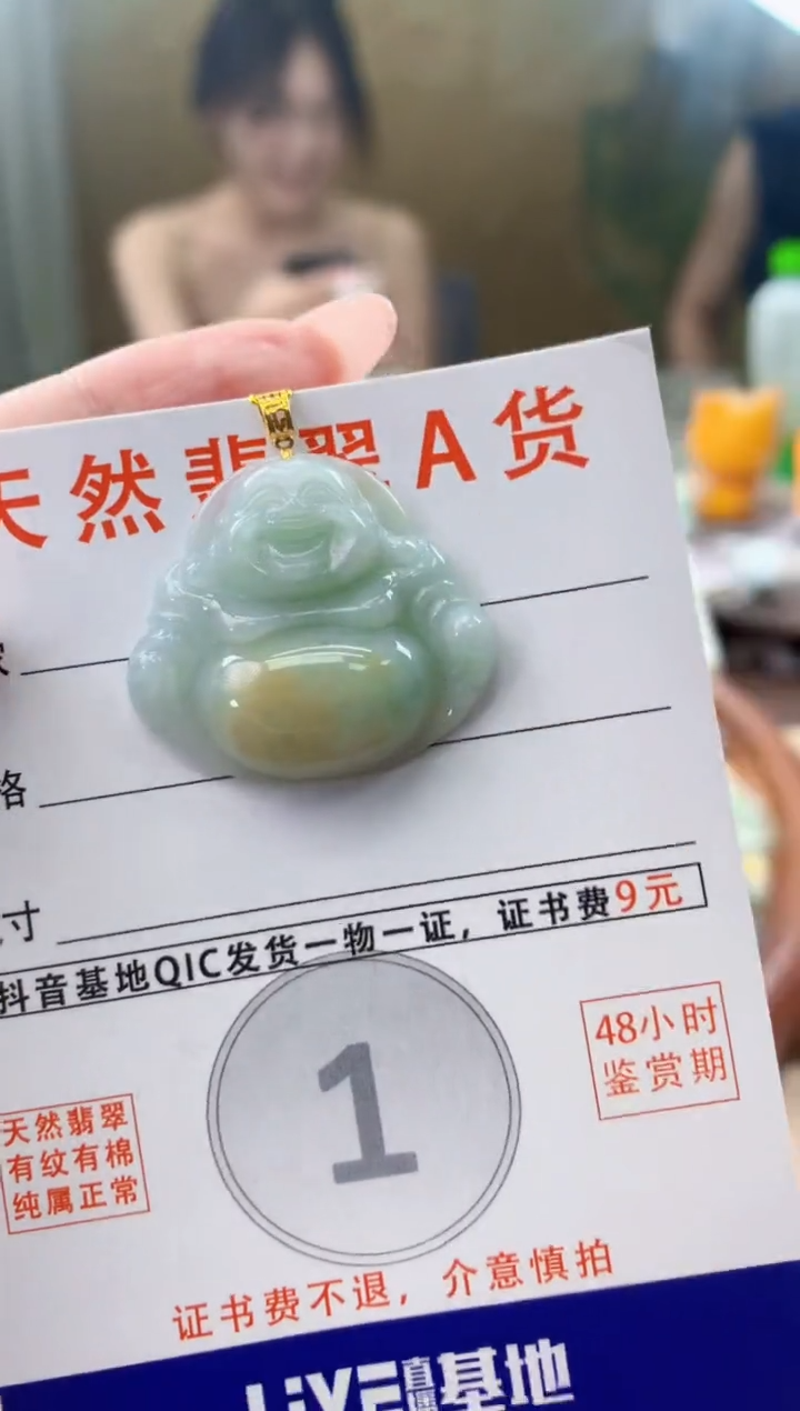 颈饰未镶嵌翡翠天然A货翡翠挂件