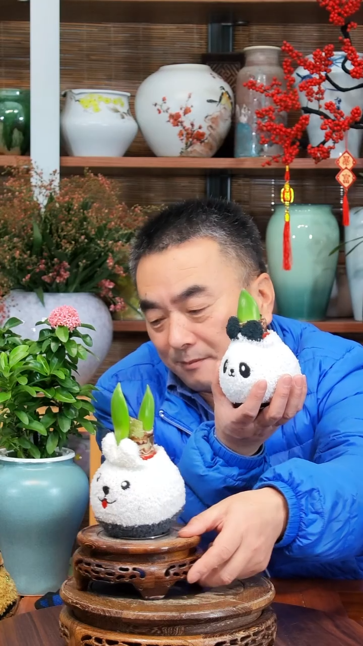 无花朵鱼**鸣水之韵水培朱顶红