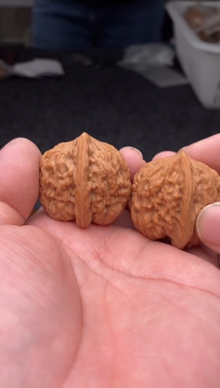 把件文玩核桃B151号38尺九月元宝