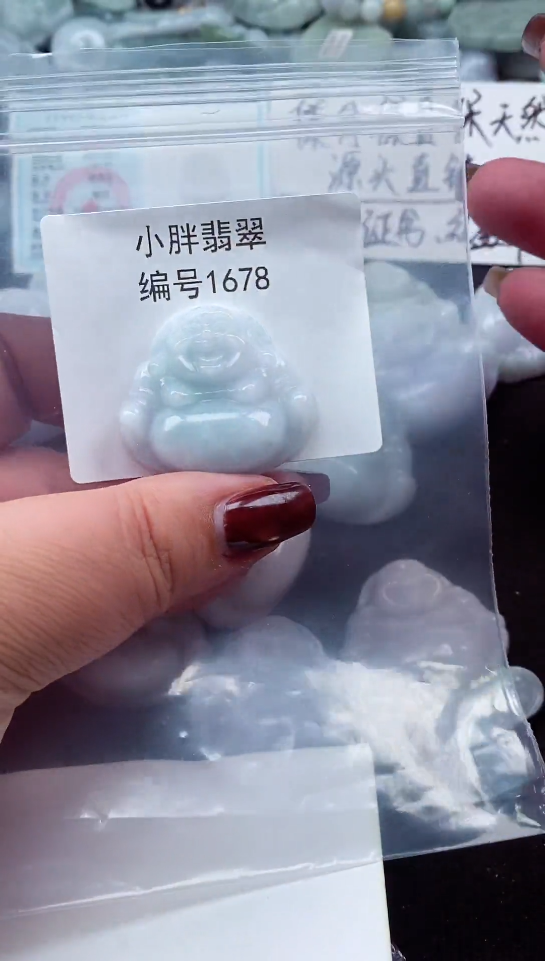 颈饰未镶嵌翡翠缅甸天然A货翡翠1678