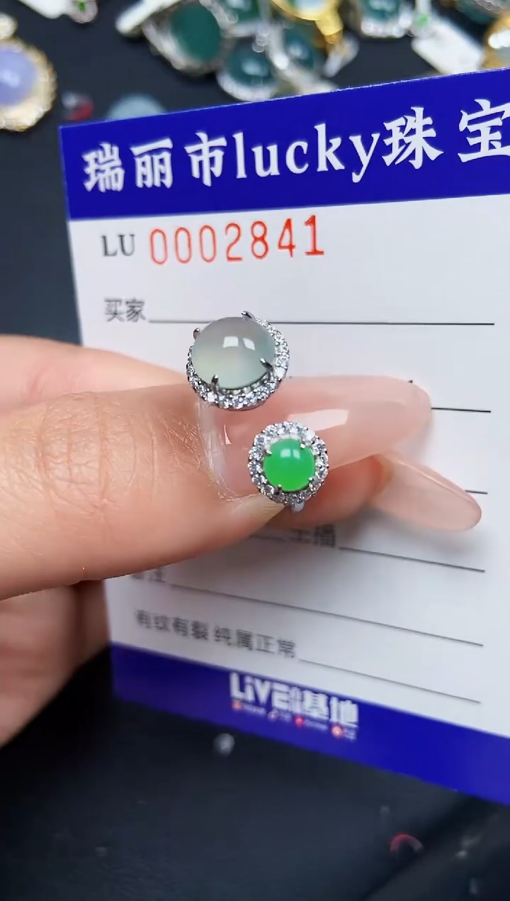 【闪购商品】翡翠颈饰银S925镶嵌2841