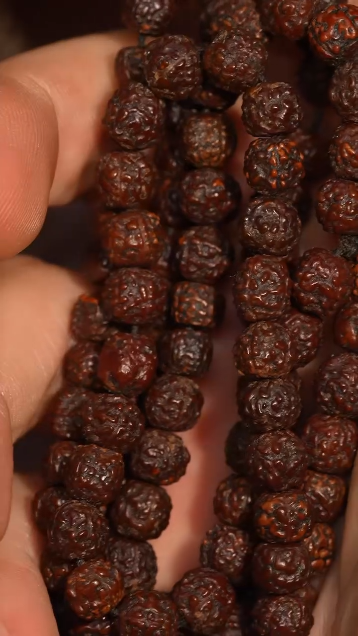 冲赛康胡子哥，藏传念珠113