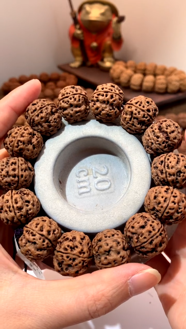 【闪购商品】金刚菩提手串22尺寸古龙粗筋双龙