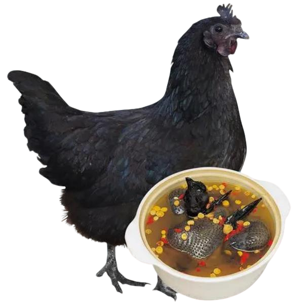 散养整只五黑鸡鸡肉
