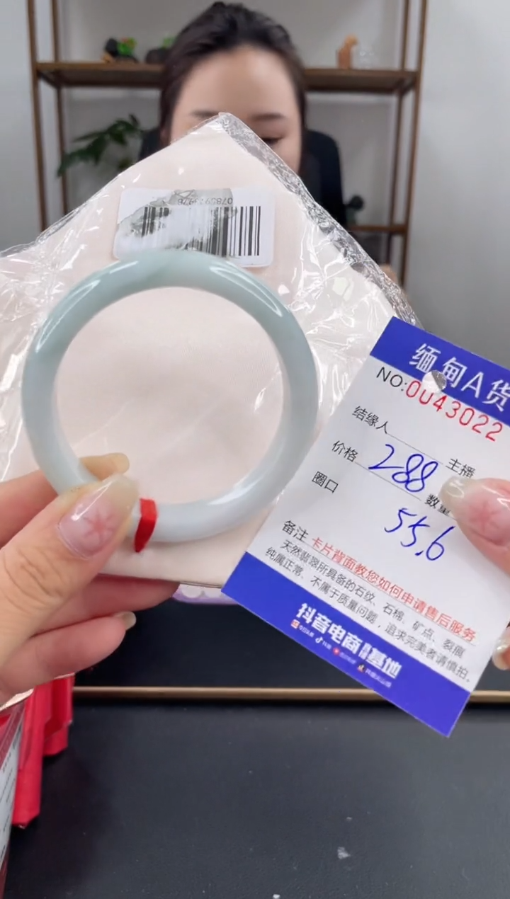 未镶嵌手镯翡翠 